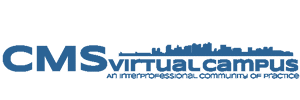 The CMS Virtual Campus